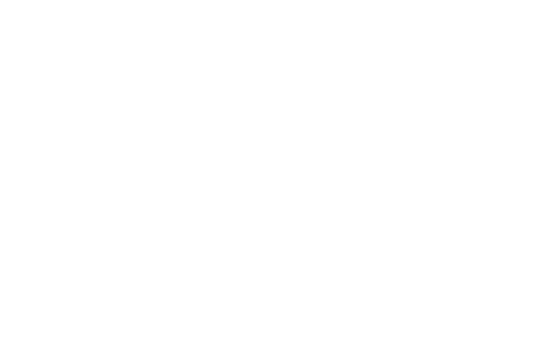 LogoBatara